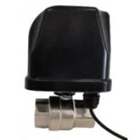 Кран шар. с электроприводом 12 Arrowhead